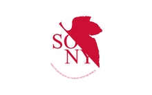 sony nerv 1600x1200 wallpaper 
